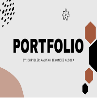 Portfolio 