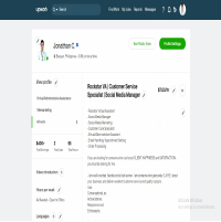 WOR EXPERIENCES AS VIRTUAL ASSISTANT WITH FEEDBACK