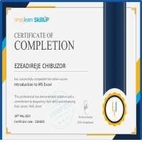 Certificate: Introduction to MS Excel 