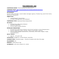 Facebook Campaign and Ad Plan