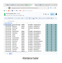 Spreadsheet Creation, Management and Organization 