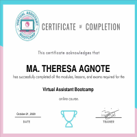 Virtual Assistant Certificate