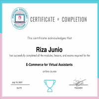 Certificate of E-commerce for Virtual Assistants 