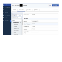 Sample Intuit Return Input