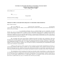 Sample: Prosecutorial Discretion