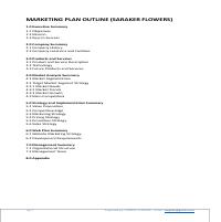 Marketing Plan