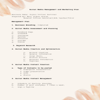 Social Media Managent Plan