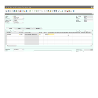 Sample SAP Payment application