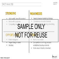 Client Marketing Strategy Sample (finals are 150+ pages )