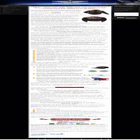 Web Copy Samples