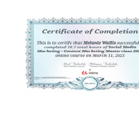 Social Media Certificate
