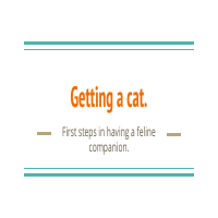 Simple google slide presentation