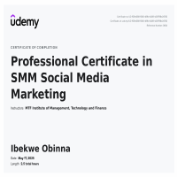 Professional Diploma Social Media Marketing 