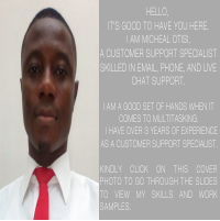 Customer Service Portfolio