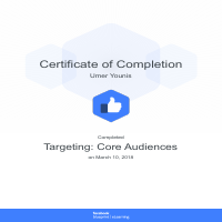 Targeting: Core Audiences