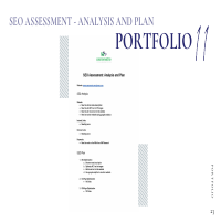 SEO Analysis and Plan / SEO On Page Opmization Portfolio
