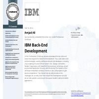 IBM Back End Development 