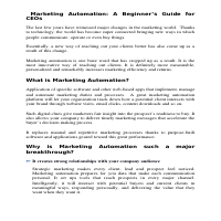 Beginners Guide to Marketing 