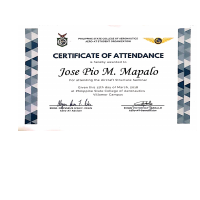 Aircraft Structures Certificate