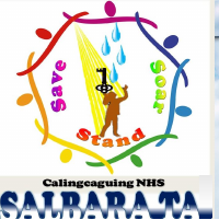 Formulated school banner project (technical wring)