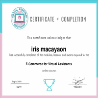 E-Commerce for Virtual Assistant