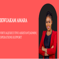 My VA, Admin/operations support pot