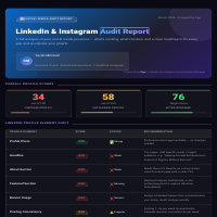Social media audit report 