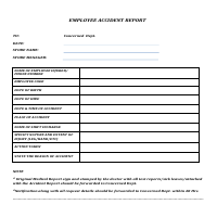 Accident Report 