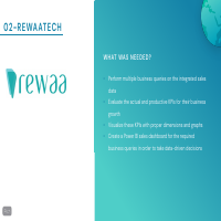 Rewaa Analytics Solution - Upwork