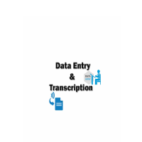 Data Entry and Transcription 
