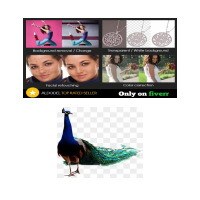 Background Removal Sample
