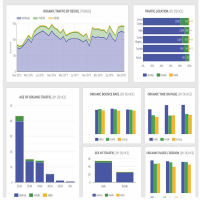 SEO Ranking