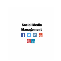 Social Media Management Post Scheduling