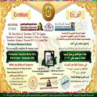 🎓 Pro Translation Skills – Professional certificate..