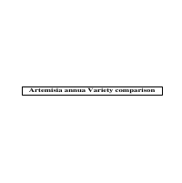 Artemisia annua Variety comparison