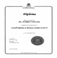 Diploma in Business Studies (Level 7)- New Zealand
