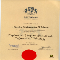 Academic transcript and certificate for Diploma IT