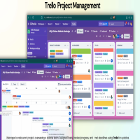 Project Management