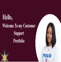 Customer Support Portfolio