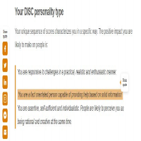 DISC Personality Test Result
