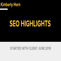 SEO Campaign Highlights