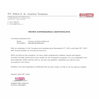 Work Experience Certificate