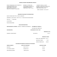 Travelers insurance policy translated