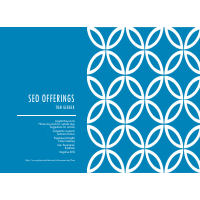SEO Offerings
