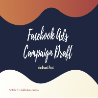 Facebook Ads Campaign Draft