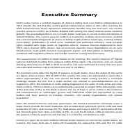 Executive Summary (Report Writing)