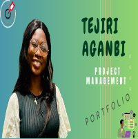 Project Management Portfolio 