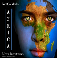 Africa Investment Report by Shane Huntley