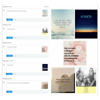 Social Media Management