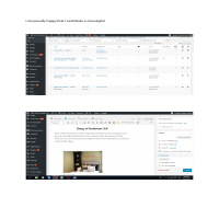 Word Press(an active  blogger)